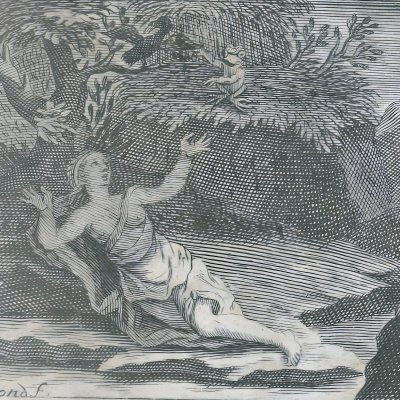 La grenouille bienfaisante (Mme d’Aulnoy, Les Fées à la mode, 1698) - Raymond