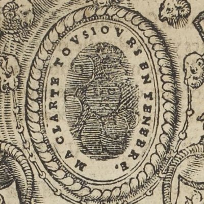 Tout sur l'héraldique : dessin de blasons et d'armoiries: Pierre ...