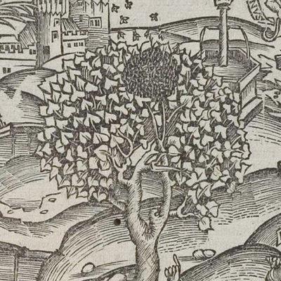 Prodige de l’essaim d’abeilles (Virgile, Énéide 7, éd. Brant, Strasbourg Grüninger 1502, f289v)