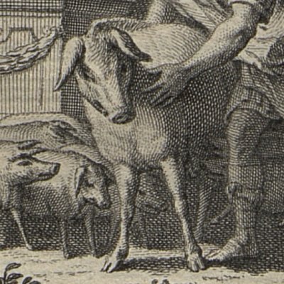 Prodige de la truie blanche (L’Eneide di Virgilio, 1760) - Zocchi