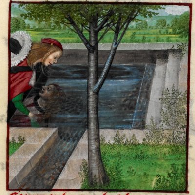 Narcisse à la fontaine (Roman de la rose, Londres Harley 4425, F20)