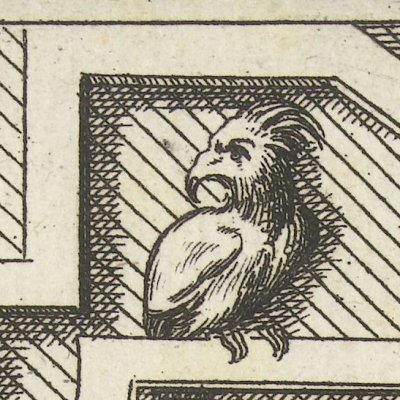 Cartouche vide à bordure d'entrelacs - Johannes et Lucas van Doetechum d'après Hans Vredeman de Vries