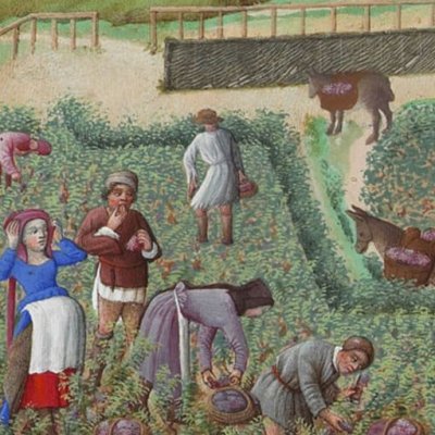Septembre (Très riches Heures du duc de Berry) - Limbourg