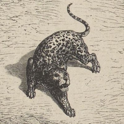 La panthère (L'Enfer, chant I) - Gustave Doré