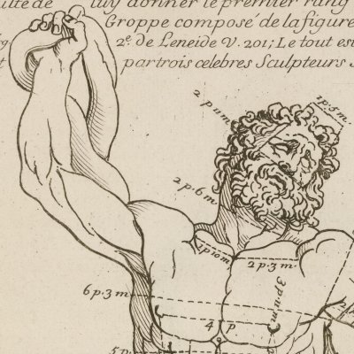 Laocoon (Audran, Proportions du corps humain)