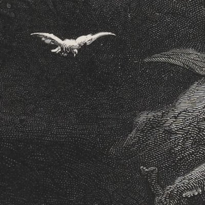 Noé envoie une colombe sur la terre (La Sainte Bible, Mame, 1866) - G. Doré