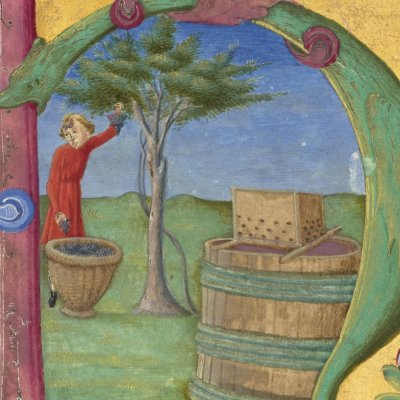 La culture des arbres et de la vigne (Virgile, 2e Géorgique, Bnf Latin 7939A, f22r)