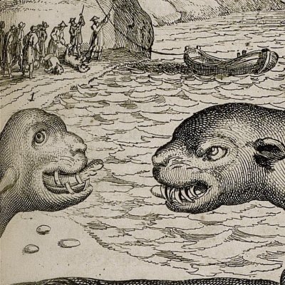 Hippopotame (Kircher, Chine illustrée, 1670)