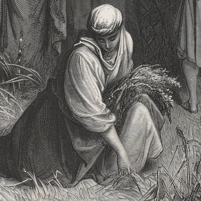 Booz and Ruth (La Sainte Bible, Mame, 1866) - G. Doré