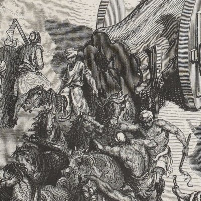 Cèdres du Liban destinés à la construction du Temple (La Sainte Bible, Mame, 1866) - G. Doré