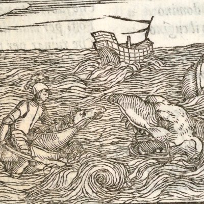 Combat de Roger et de l'orque (Roland furieux Perchacino 1567, ch10)