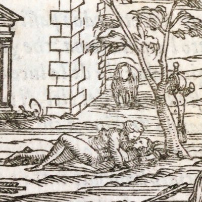 Angélique secourt Médor blessé (Roland furieux Perchacino 1567, ch19)