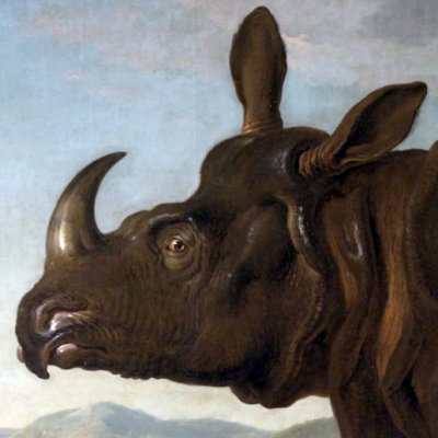 Le rhinocéros - Oudry