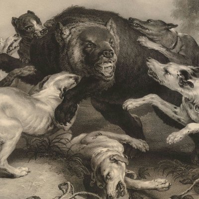 Lutte d’un ours avec les chiens d’une meute - Carl Straub d'après Frans Snyders