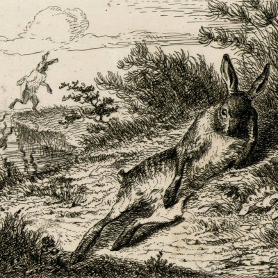 Le lièvre et les grenouilles (Dessins des Fables de La Fontaine) - Grandville