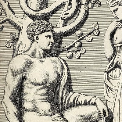 Hercule au jardin des Hespérides (Nürnbergische Hesperides, 1708, Cont. p.3)