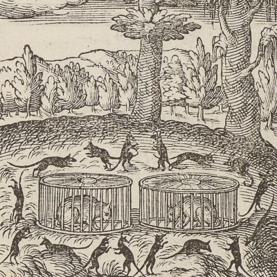 Impunitas ferociae parens, l'impunité mère de la barbarie (Hadrianus Junius, Emblème 4)