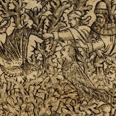 La forêt des suicidés (Dante, Enfer, chant 13) - Baccio Baldini