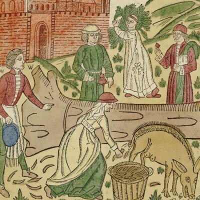 Récolte du lisier (Ovide Moralisé, Bruges, 1484)