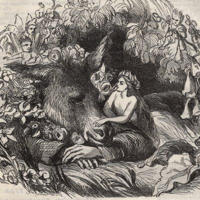 Songe d'une nuit d'été (John Dicks' Shakespeare’s Works, 1864)