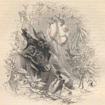 Le songe d'une nuit d'été, IV, 1. Bottom, Titania et les Fées (The Works of Shakspere, Londres, 1846) - Meadows
