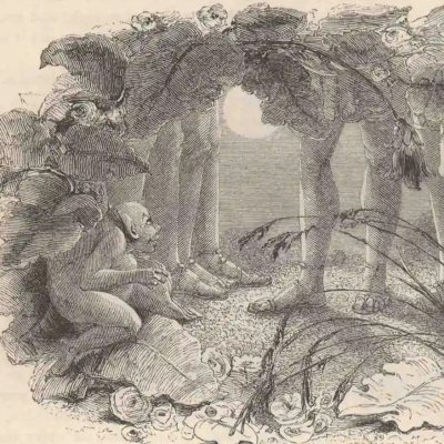 Le songe d'une nuit d'été, III, 1. Puck et les machinistes (The Works of Shakspere, Londres, 1846) - Meadows