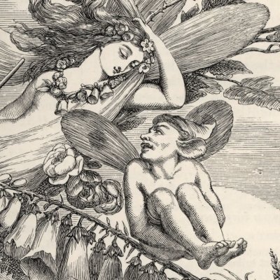 Songe d'une nuit d'été, II, 1 (The Plays of William Shakespeare, éd. Cowden Clarke) - Selous