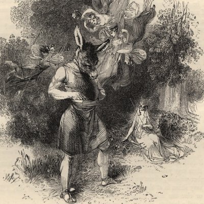 Songe d'une nuit d'été, III, 1 (The Pictorial Shakspeare, éd. Knight) - Harvey