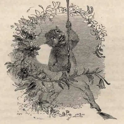 Le songe d'une nuit d'été, III, 1. Puck et la tête d'âne de Bottom (The Works of Shakspere, Londres, 1846) - Meadows