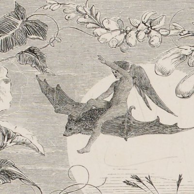 Ariel sur le dos d'une chauve-souris (Shakespeare, The Tempest, 1860)