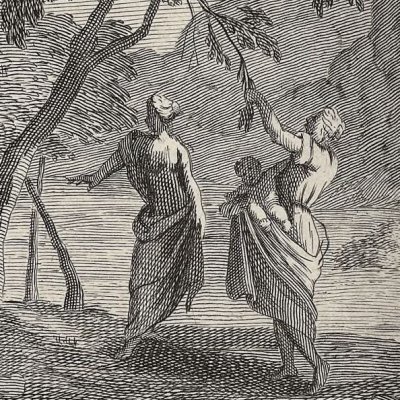 Dryope changée en arbre. Les enfants de Callirhoé (Métamorphoses Banier 1732, l.9) 