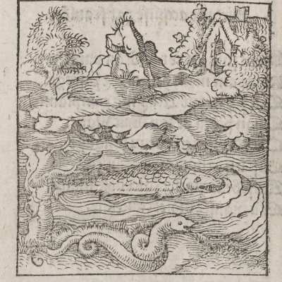 Reverentiam in matrimonio requiri / Révérence est requise à mariage (Alciat, Wechel, 1536)