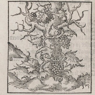 Amicitia etiam post mortem durans / Amitié durant après mort (Alciat, Wechel, 1536)
