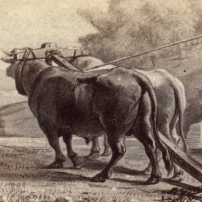 Le travail de la terre : labourage (Géorgiques 1, éd. Dübner, Didot, 1858)