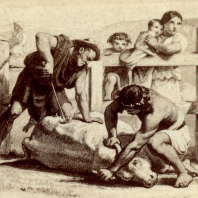 Le marquage des veaux (Géorgiques 3, éd. Dübner, Didot, 1858)
