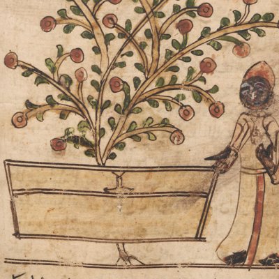 Histoire d'Umar an-Nu'mân (Mille et une nuits, ms de Tübingen, F122v)