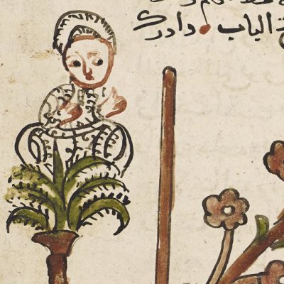 Histoire de Ghanem (Mille et une nuits, ms de Manchester, p385)