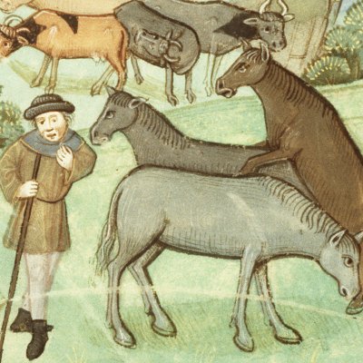 Séparation des troupeaux : moutons, vaches, chevaux, porcs (Virgile, Géorgiques 3, La Haye KB 76E21, 2f28r)