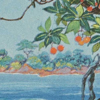 Histoire charmante des animaux et des oiseaux. Le paon et la paonne (Les Mille et Une Nuits, éd. Mardrus, t. 4) - Léon Carré