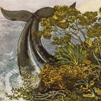 Premier voyage de Sindbad. L'île baleine (Les Mille et Une Nuits, éd. Mardrus, t. 5) - Léon Carré