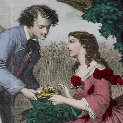 Enfance. Le nid d'oiseaux (Histoire de Paul et Virginie, Épinal, Pinot et Sagaire, 1864)