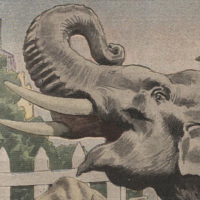 Les éléphants de Ferdinand de Bulgarie (Le Petit Journal. Supplément du dimanche, n°1231, 21 juin 1914)