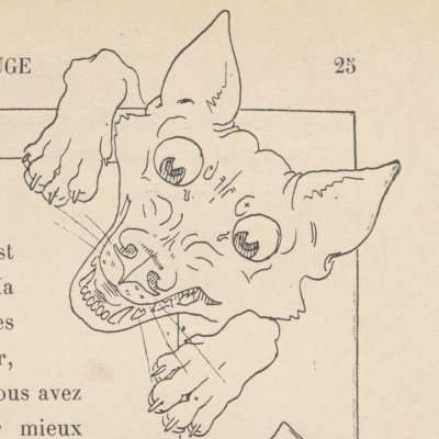 Le petit chaperon rouge. Le loup au lit (Les Contes de Perrault illustrés…, éd. Larroumet, 1905) - Vimar