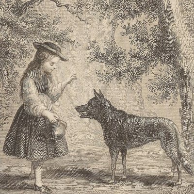 Le Petit Chaperon rouge (Les Contes de Perrault, éd. Tardieu, 1902) - Désandré