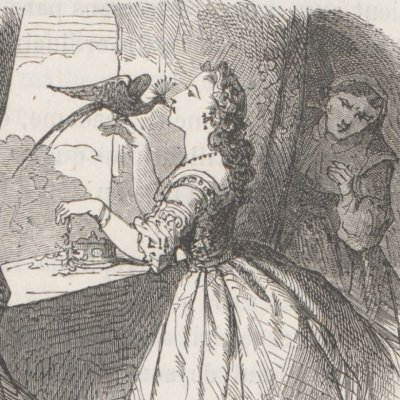 L'oiseau bleu. L'oiseau refuse de partir (Contes de fées, Hachette, 1871) - Bertall