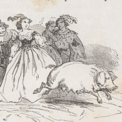 L'oiseau bleu. Truitonne métamorphosée en truie (Contes de fées, Hachette, 1871) - Bertall