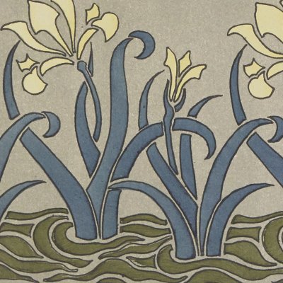 Iris (La plante et ses applications ornementales, Pl. 2) - Verneuil
