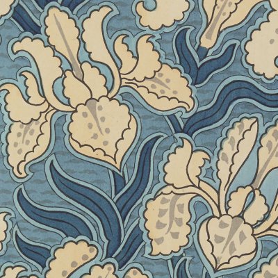Iris (La plante et ses applications ornementales, Pl. 3) - Hervegh