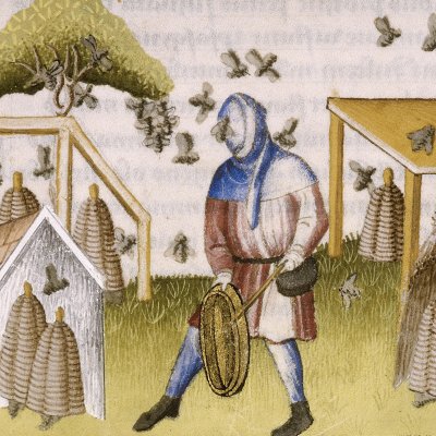 Apiculture (Virgile, Géorgiques 4, Lyon Ms P.A. 27, f51)