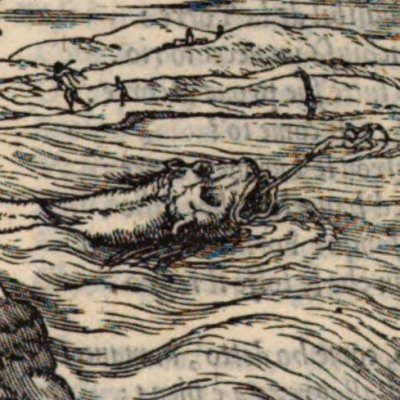 Angélique chez le berger. Roland tue l’orque (Roland furieux, éd. Giolito de Ferrari 1543, ch11)